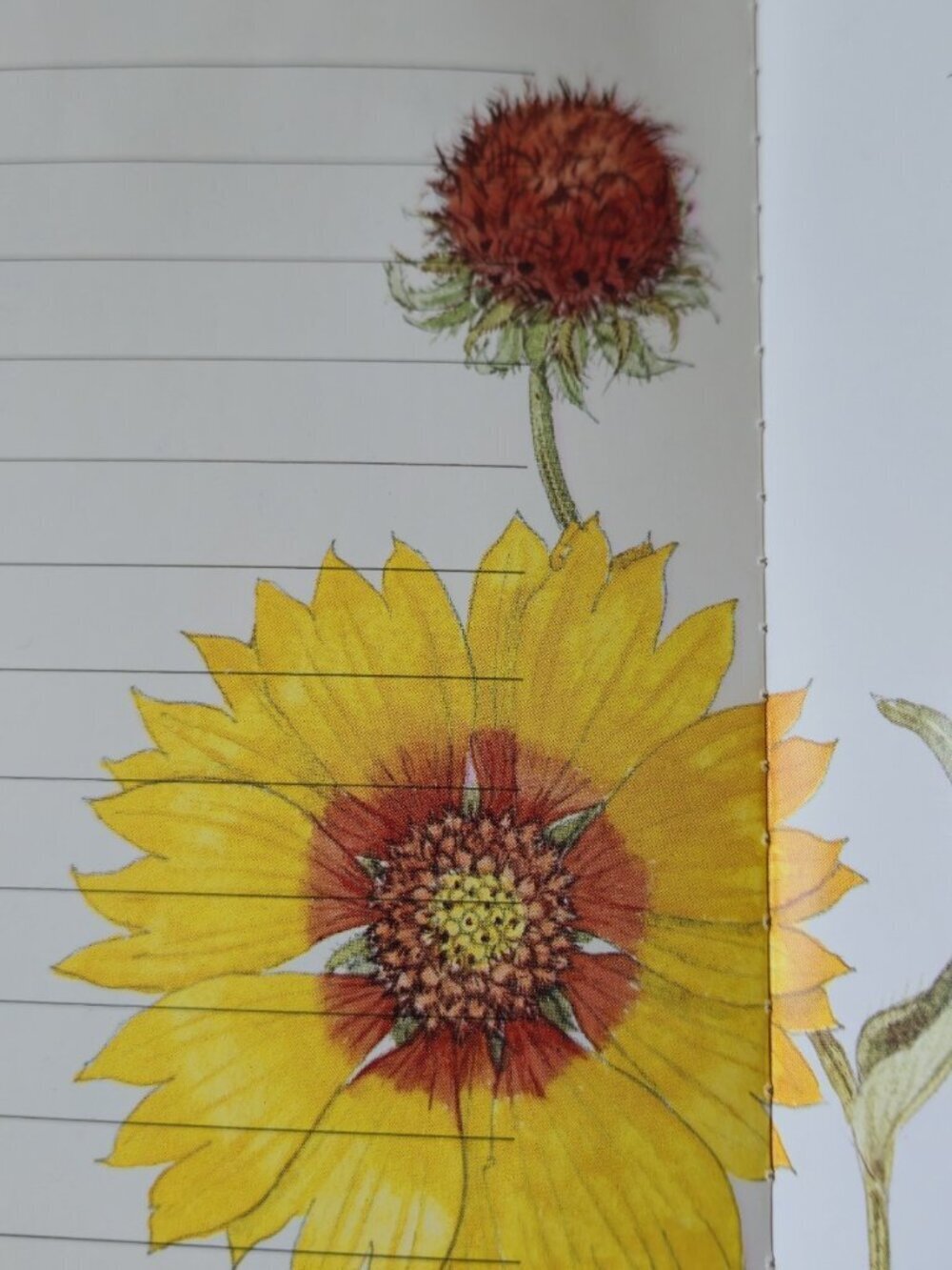Beshlie Grandmother's Album A Keepsake for Sharing Pop-Up Floral Book '92 1st Ed - Picture 4 of 15